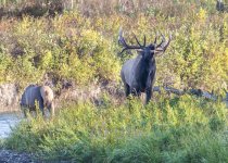 Rocky Mt. September 2020 a-2084-3.JPG