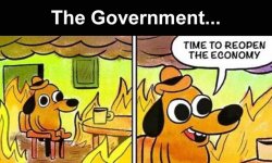 coronavirus-memes-this-is-fine-1200x720.jpg