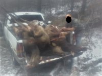 1924281_1072600049876_6277_n.jpg 1924281_1072600049876_6277_n.jpg