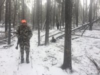 594D5547-0DF4-4E02-A0FD-40E50483D179.jpeg