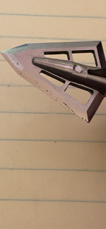 7F366D2B-5B13-44F4-B1BC-55908B54381E.png