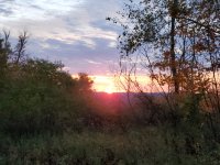0714A168-01AA-49C3-A3D2-D0047364FAE9.jpeg