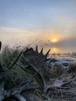 IMG_5158_heic.jpg IMG_5158_heic.jpg