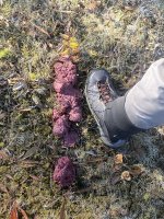 IMG_5271_heic.jpg IMG_5271_heic.jpg