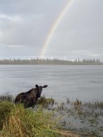 IMG_5076_heic.jpg IMG_5076_heic.jpg