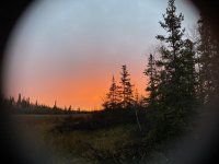 IMG_5384_heic.jpg IMG_5384_heic.jpg