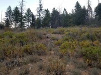 IMG_2687.JPG IMG_2687.JPG