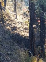 IMG_2688.JPG IMG_2688.JPG