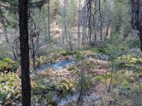 IMG_2689.JPG IMG_2689.JPG