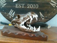 yote skull.jpg