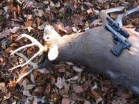 Deer pistol small.jpg