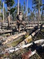 5D69FF72-F641-4450-AA31-90A283273E7C.jpeg 5D69FF72-F641-4450-AA31-90A283273E7C.jpeg