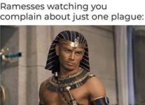 1D698C90-D489-481C-A21F-B4BD4A603010.jpeg