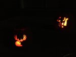 2012 pumpkin.JPG