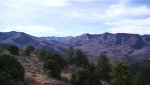 PIC_0038.jpg
