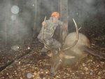 2012 elk.jpg