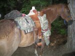 all photos as of 112811 107.jpg