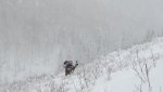 IMG_0129.jpg