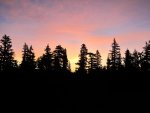 IMG_4531.jpg