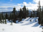 IMG_4672.jpg