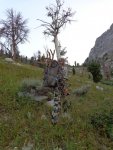 DSC00097.jpg