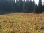 Elk wallow camp.jpg