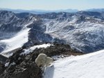 _MG_2399.jpg