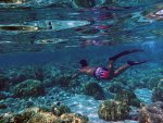 350px-Spear_fisherman_in_Hawaii.jpg