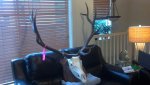 2013-01-08_12-18-35_993.jpg