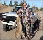 coyote 12-11.jpg