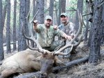 2005_0919_Elk_Burdette_Arizona8_small.jpg