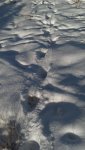 2013-01-28_08-42-27_691.jpg
