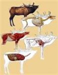 thumbnail[1].jpg