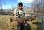 steelhead1a.jpg