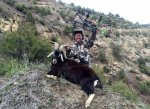 Goat 1 2016.jpg