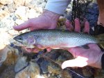 DSCF0596.jpg