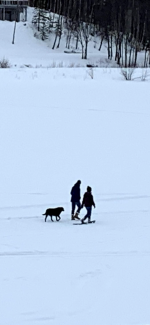 8B340090-5090-40AE-AB35-1D14E30926B8.png