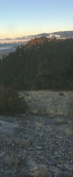 8A80CCD5-A16D-4936-B4F9-BF09B07DA2A9.jpeg