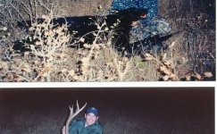 huntingpics.jpg