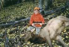 First Elk.jpg