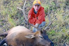 First Bull.jpg