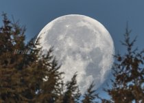 Moon November 2020 a-2665.JPG