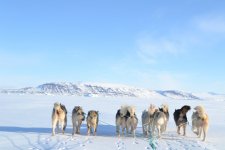 Sled Trip (18).JPG