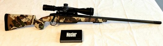 28 Nosler.jpg