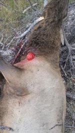 Screenshot_20201110-073505_Video Player.jpg