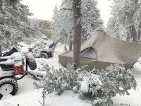 IMG_2909.JPG