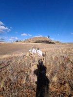 3CF8B42A-67DE-405A-A7AB-B19A3EE92C64.jpeg 3CF8B42A-67DE-405A-A7AB-B19A3EE92C64.jpeg