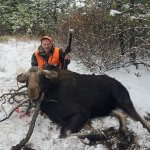 moose 1.jpg
