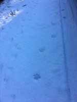 IMG_3329.JPG