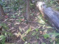 20160913_082418.jpg